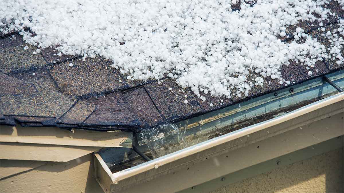 Hailstones covering an asphalt shingle roof and clogging the gutter.